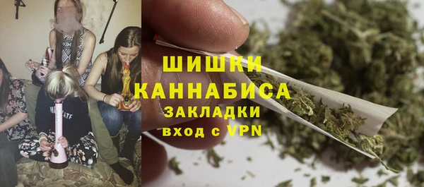 стафф Сосновый Бор