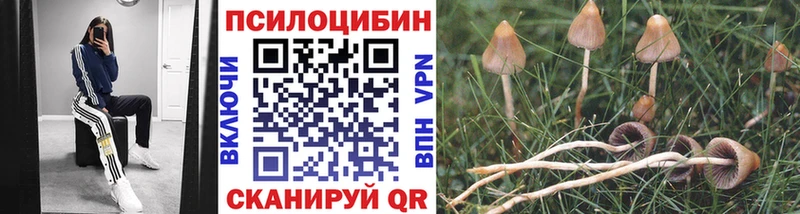 наркошоп  Зеленодольск  OMG зеркало  Галлюциногенные грибы ЛСД 