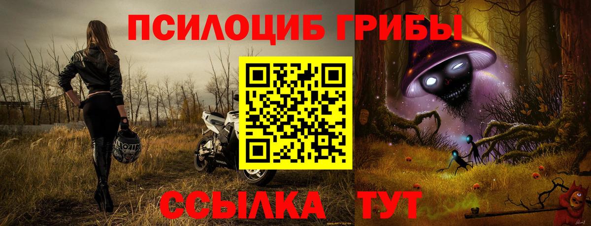 как найти наркотики  Галлюциногенные грибы Cubensis  Вход с VPN  Зеленодольск 